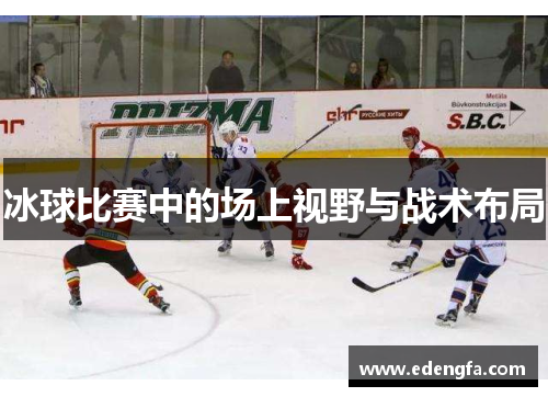 冰球比赛中的场上视野与战术布局